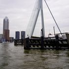 Rotterdam # 10