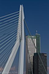 Rotterdam