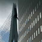 Rotterdam 2