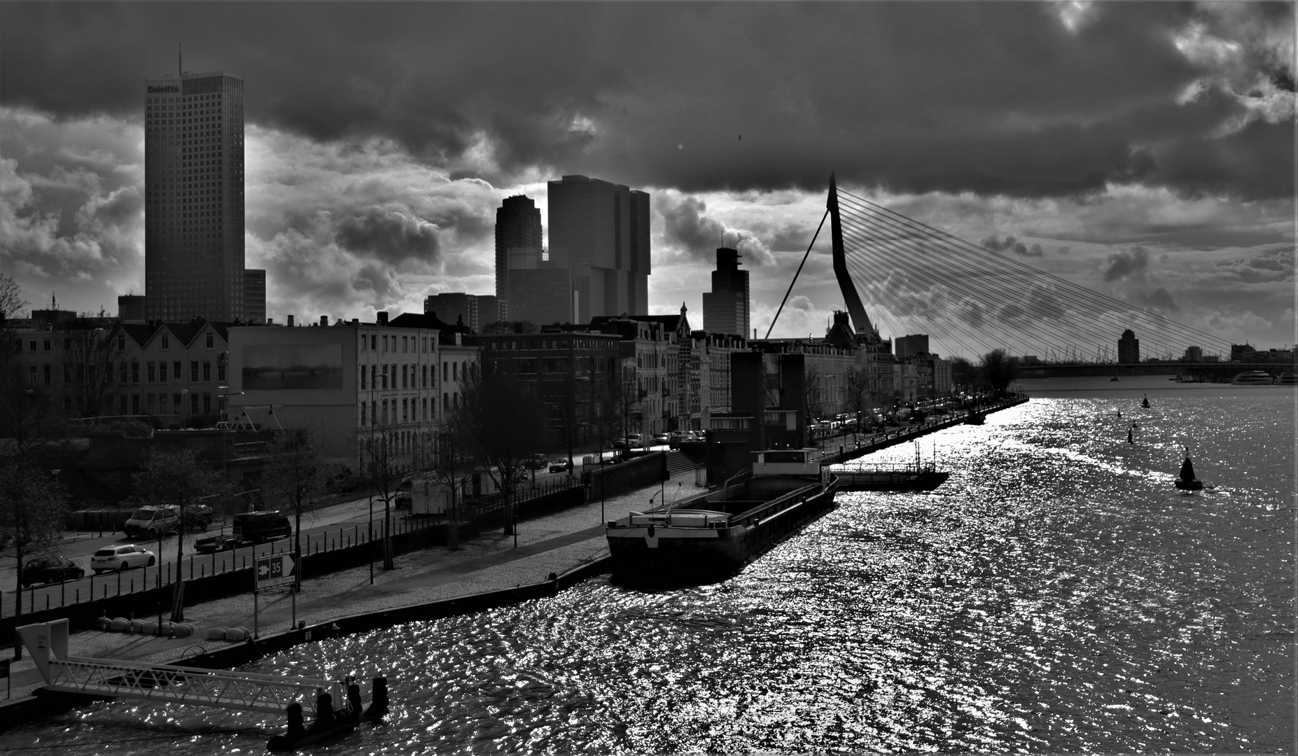 Rotterdam #2