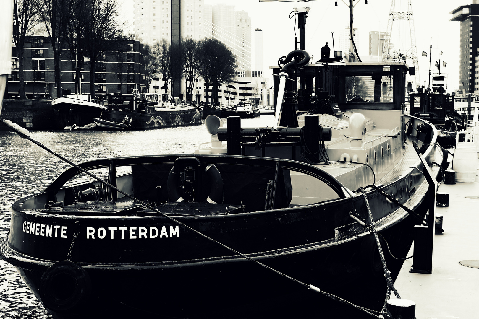 Rotterdam 2