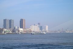 Rotterdam 2011