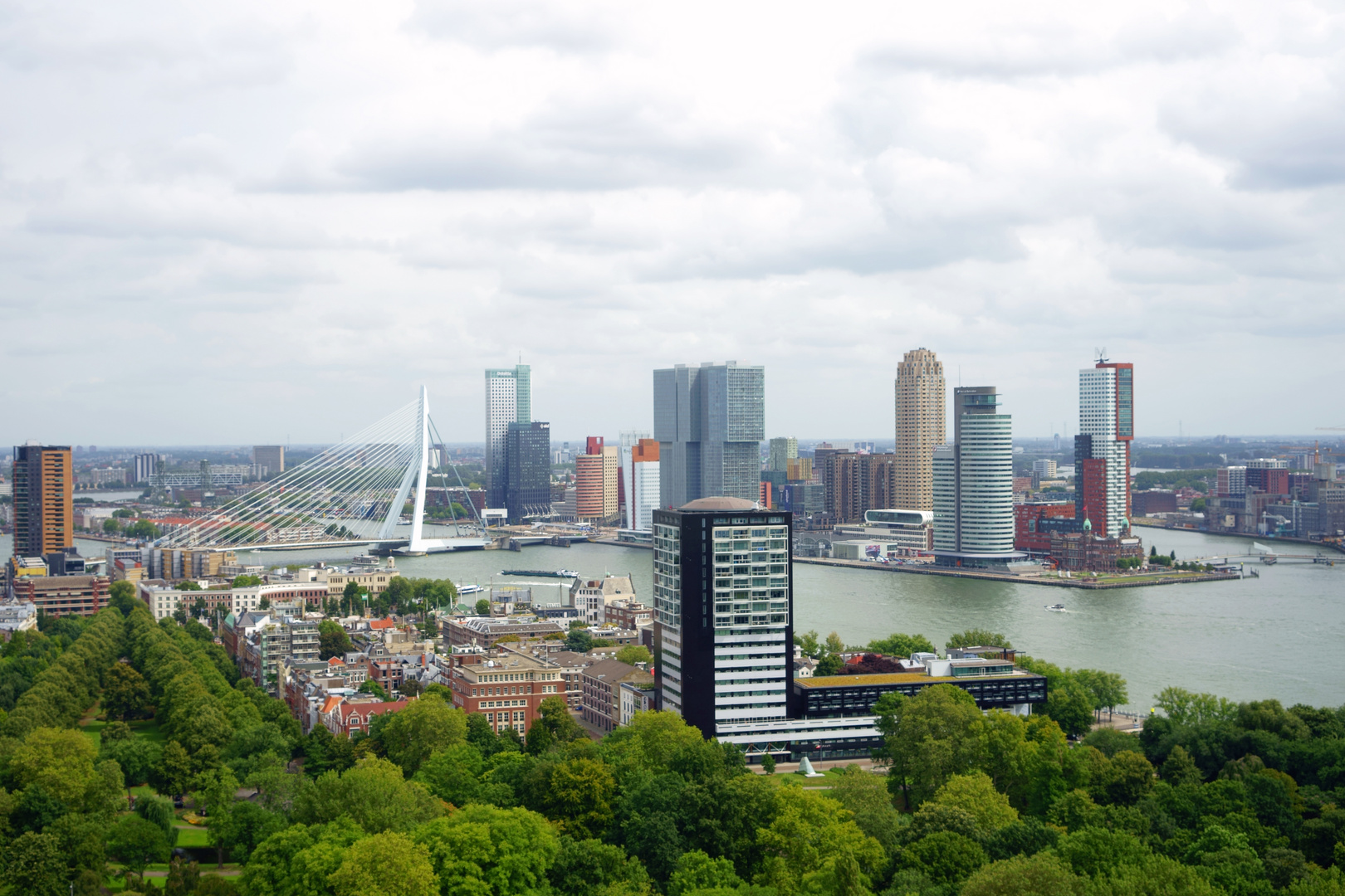 Rotterdam 2019