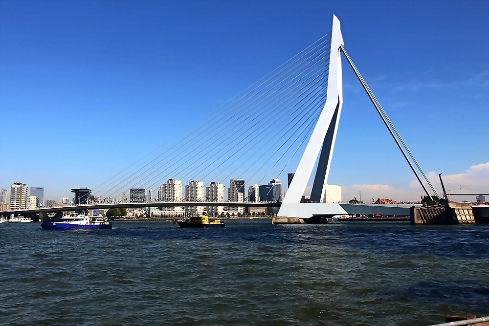 Rotterdam