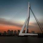 Rotterdam