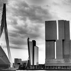 rotterdam 5