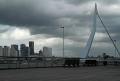 Rotterdam 6