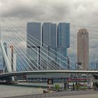 Rotterdam