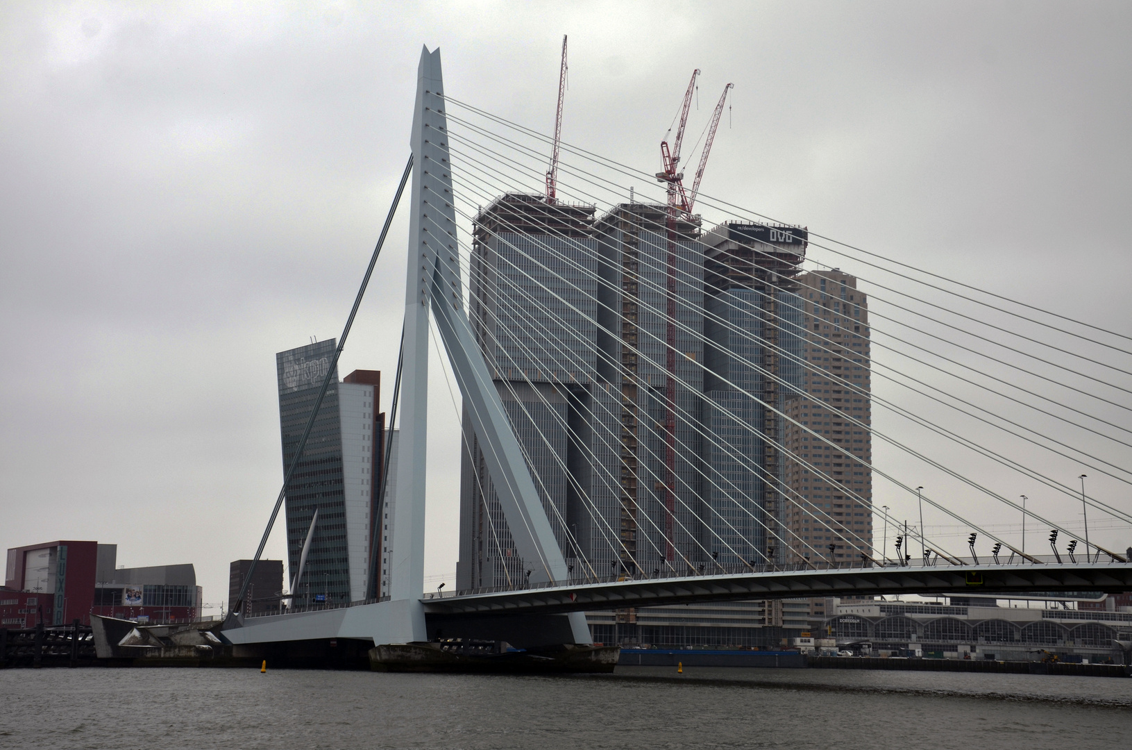 Rotterdam.