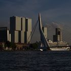 Rotterdam am Abend