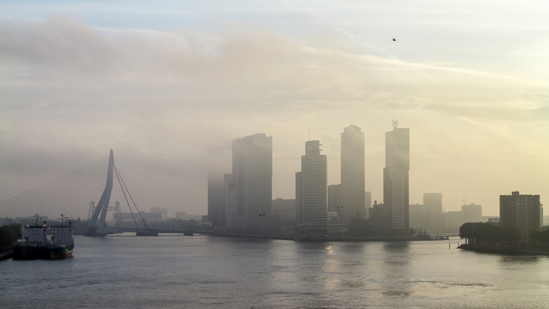 Rotterdam am Morgen