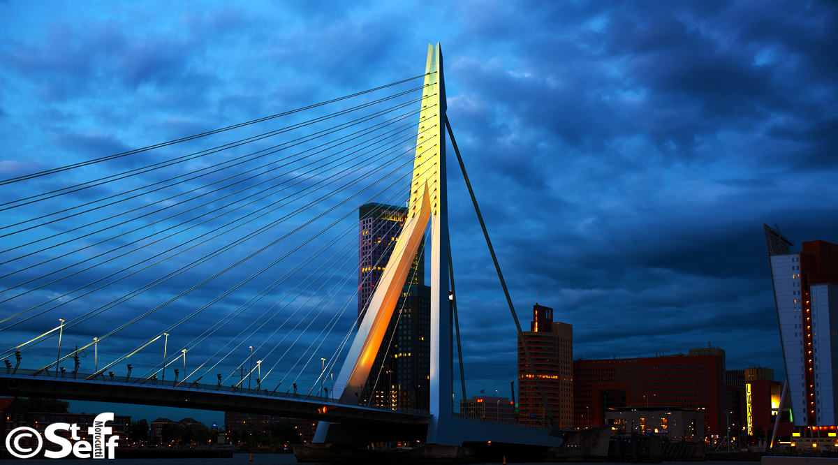 Rotterdam bei Nacht mit Erasmus Brücke