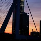 rotterdam bridge by hassan bahrameh