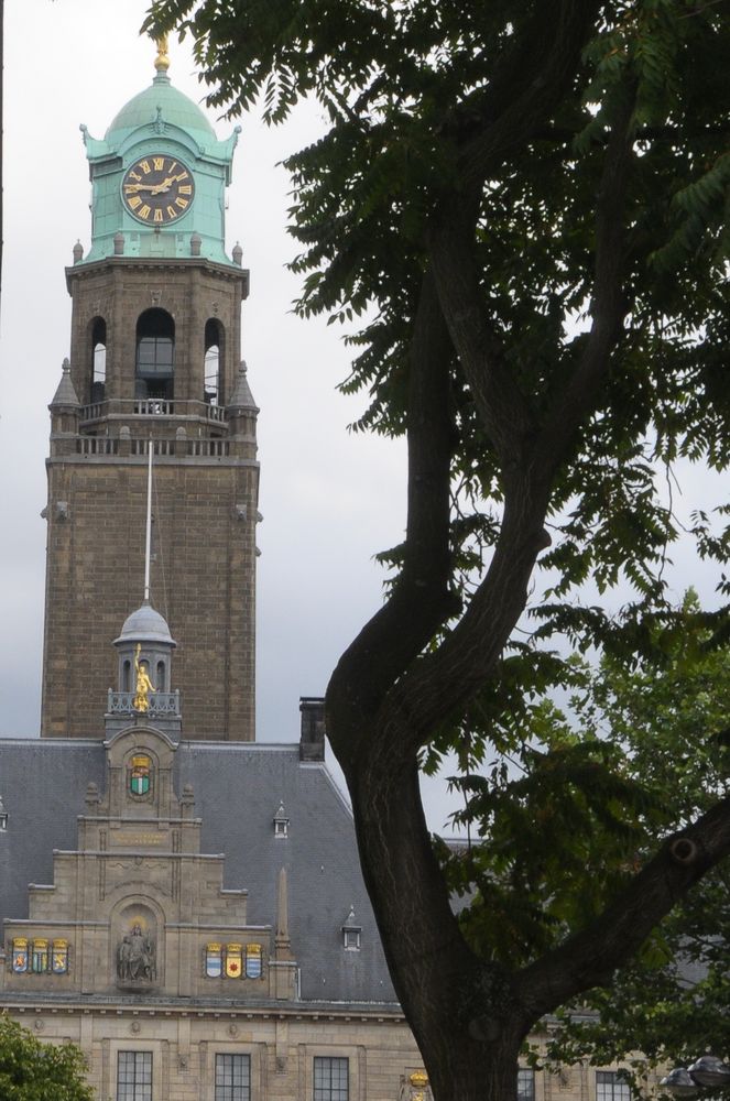 Rotterdam City hall.