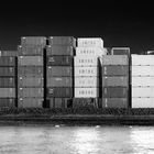 Rotterdam Container