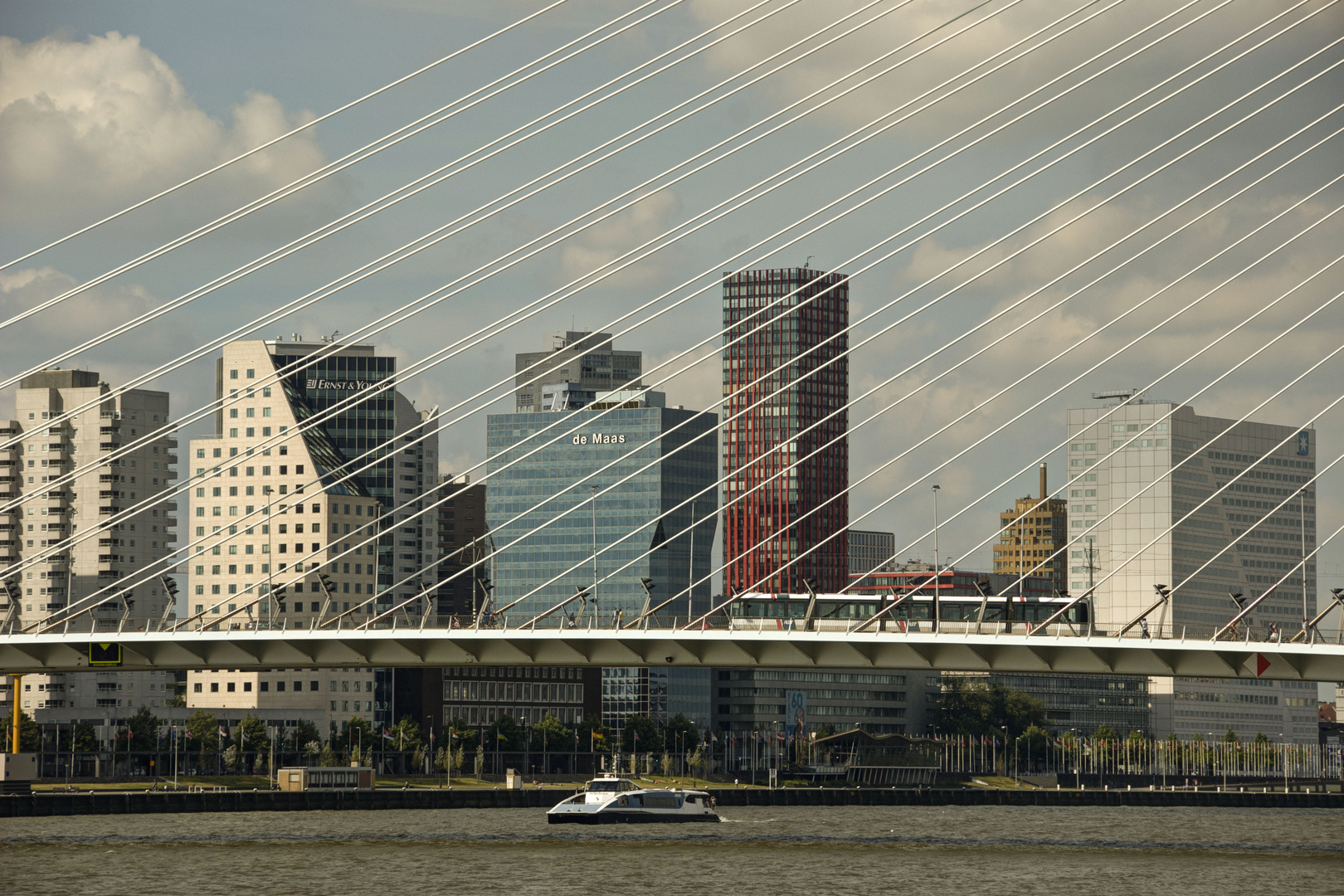 Rotterdam - "de Kop van Zuid" - View on Maas River - Erasmusbrug - Boompjes - 03
