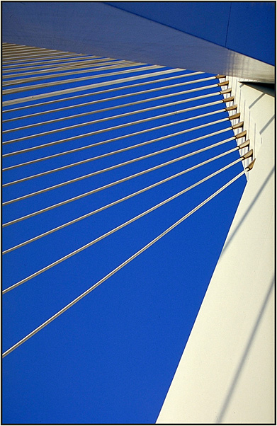 Rotterdam; Erasmusbrücke #1