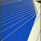 Rotterdam; Erasmusbrücke #1