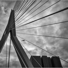 Rotterdam - Erasmusbrücke