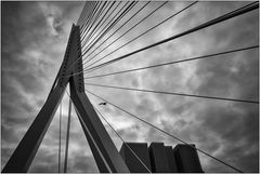 Rotterdam - Erasmusbrücke