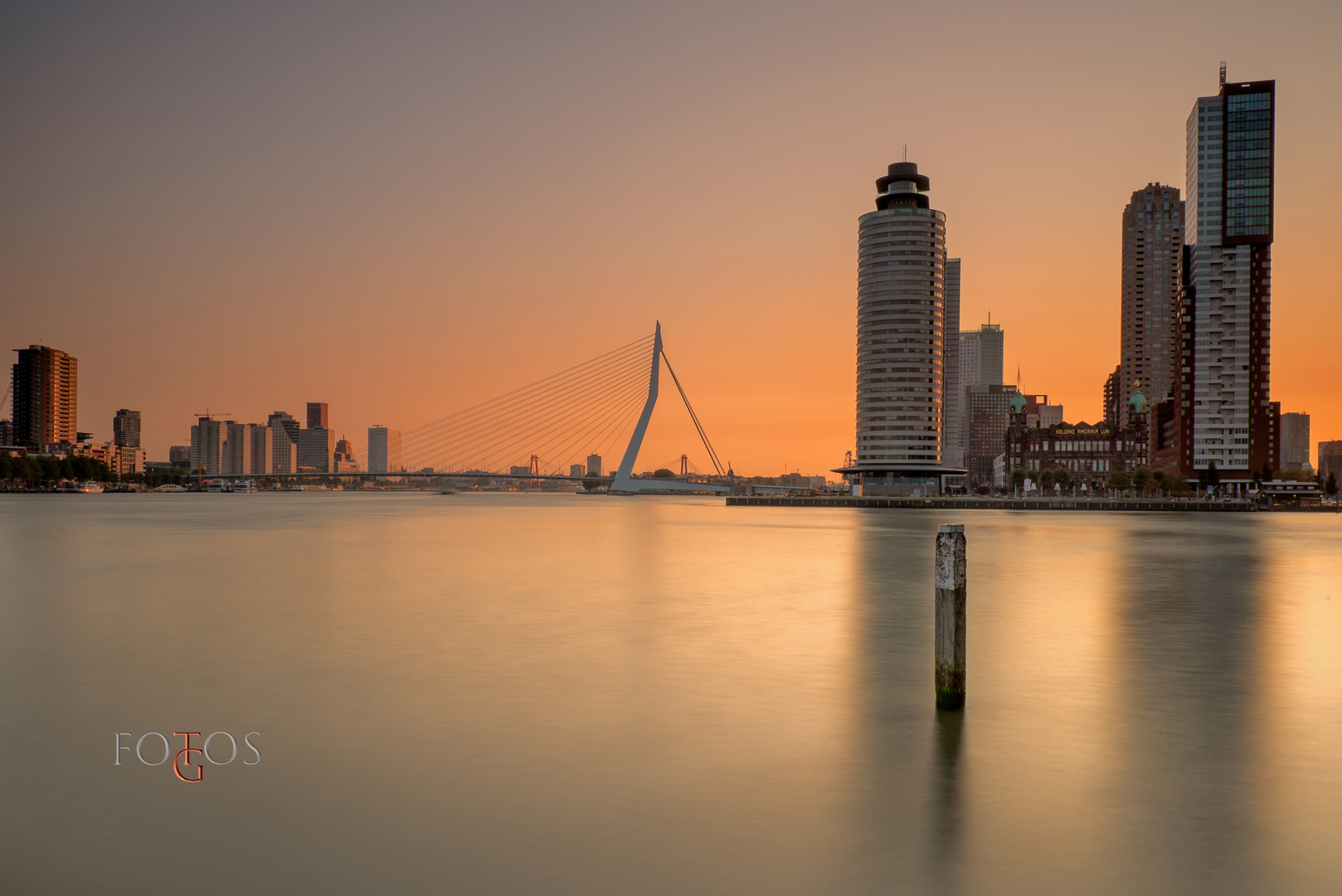 Rotterdam - Erasmusbrücke