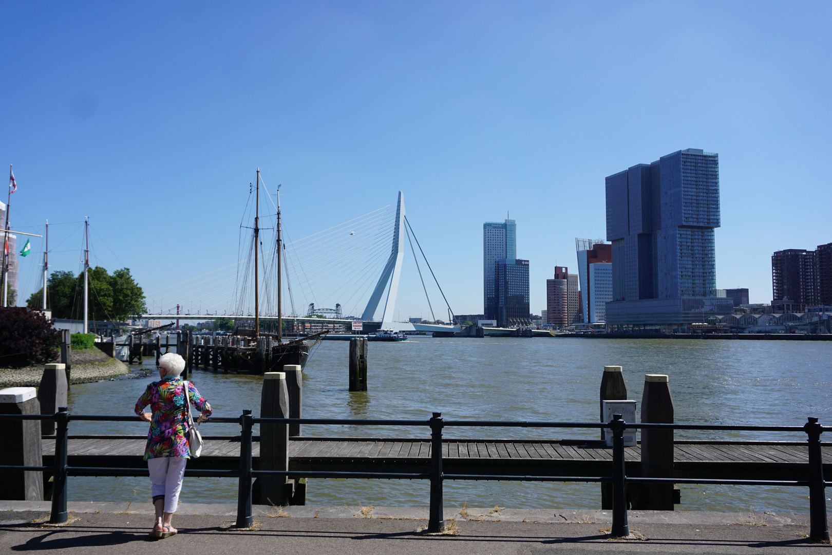 Rotterdam - Erasmusbrücke