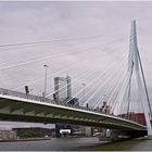 Rotterdam - Erasmusbrücke