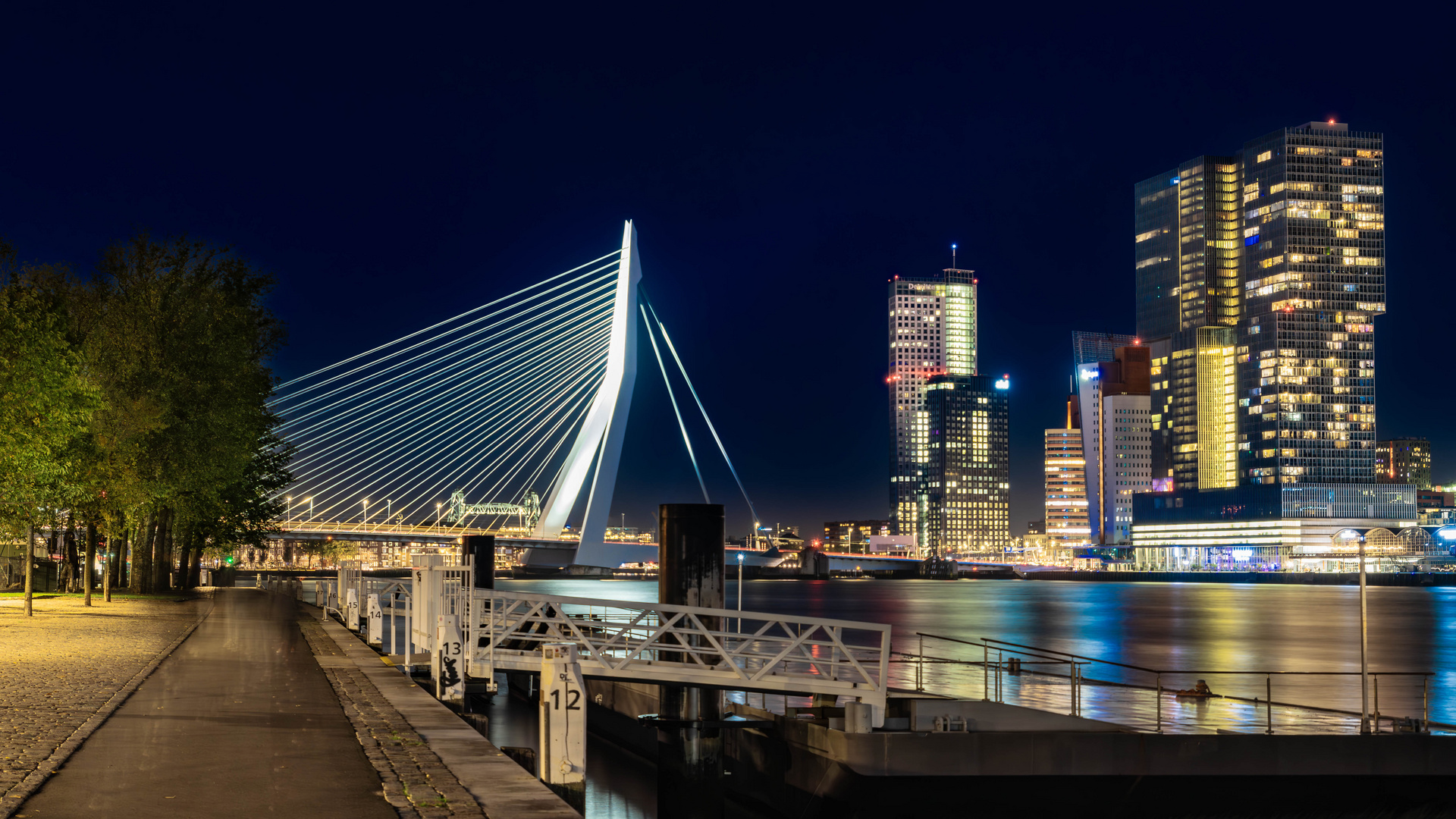 Rotterdam Erasmusbrücke