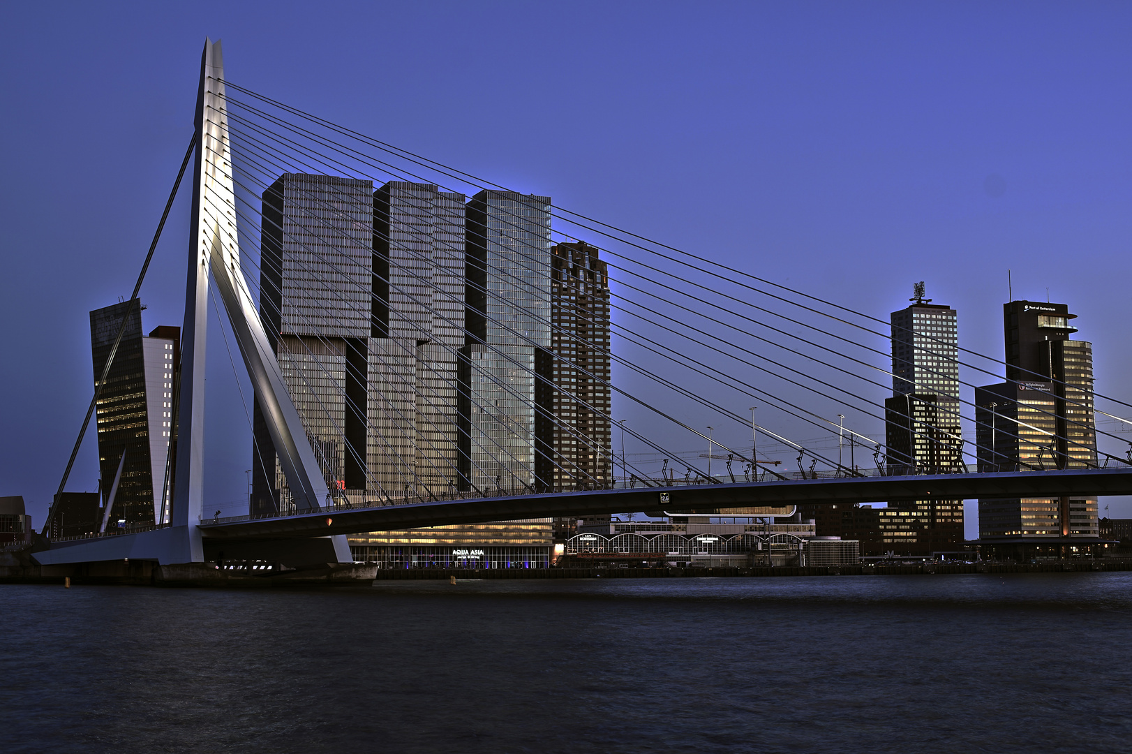 Rotterdam Erasmusbrücke