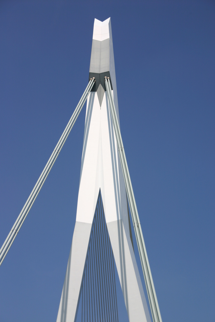 Rotterdam -Erasmusbrücke über der Maas-