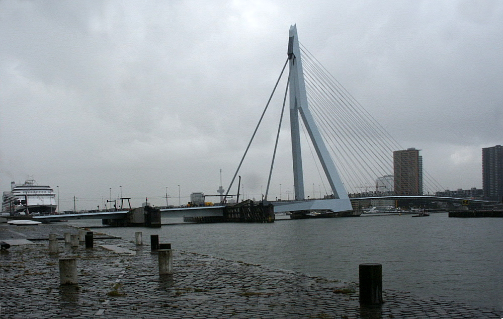 Rotterdam, Erasmusbrug