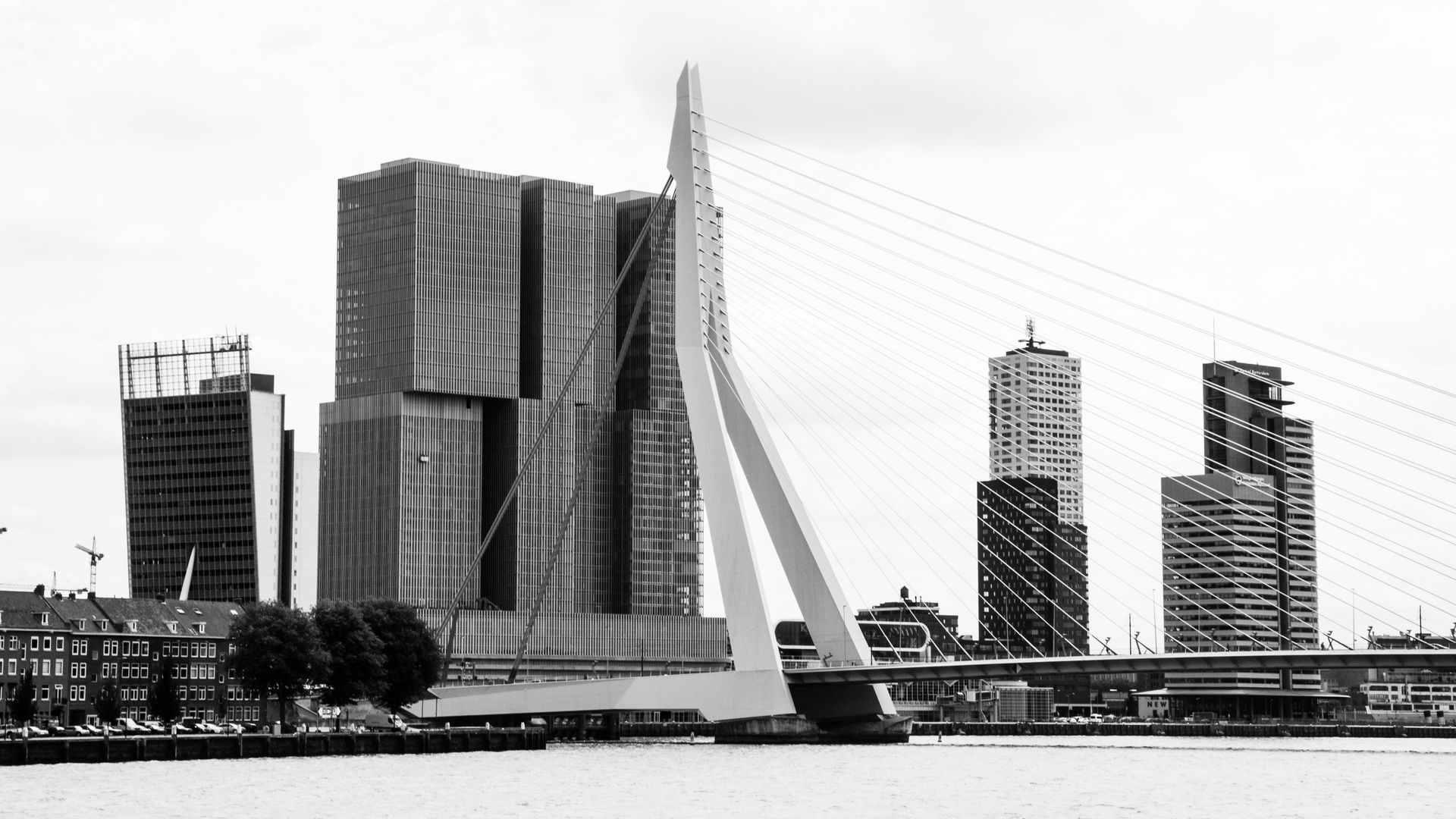 Rotterdam-Erasmusbrug