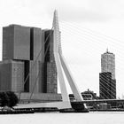 Rotterdam-Erasmusbrug
