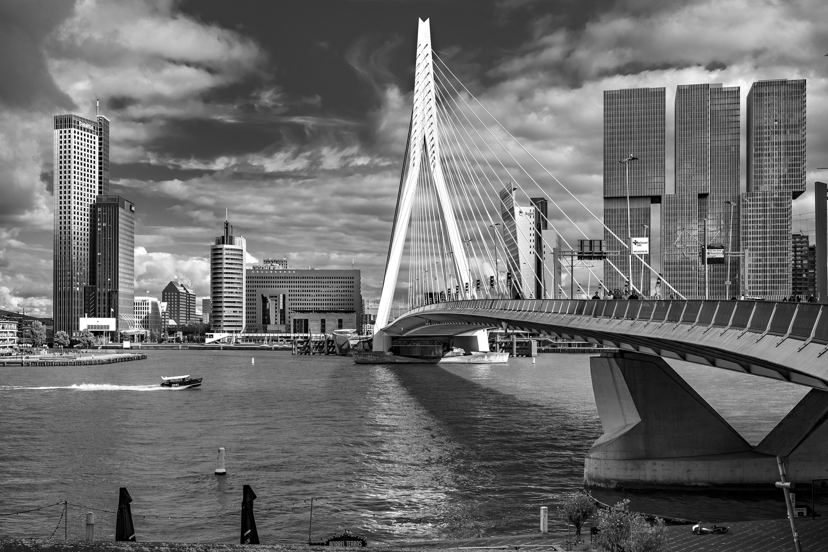  Rotterdam - Erasmusbrug