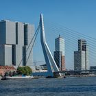 /_  Rotterdam-Erasmusbrug  /_