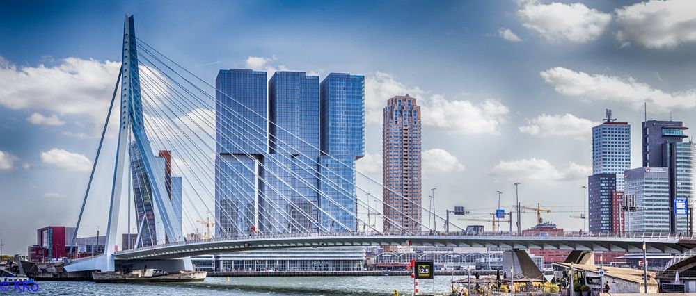Rotterdam / Erasmusbrug