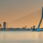 Rotterdam - Erasmusbrug