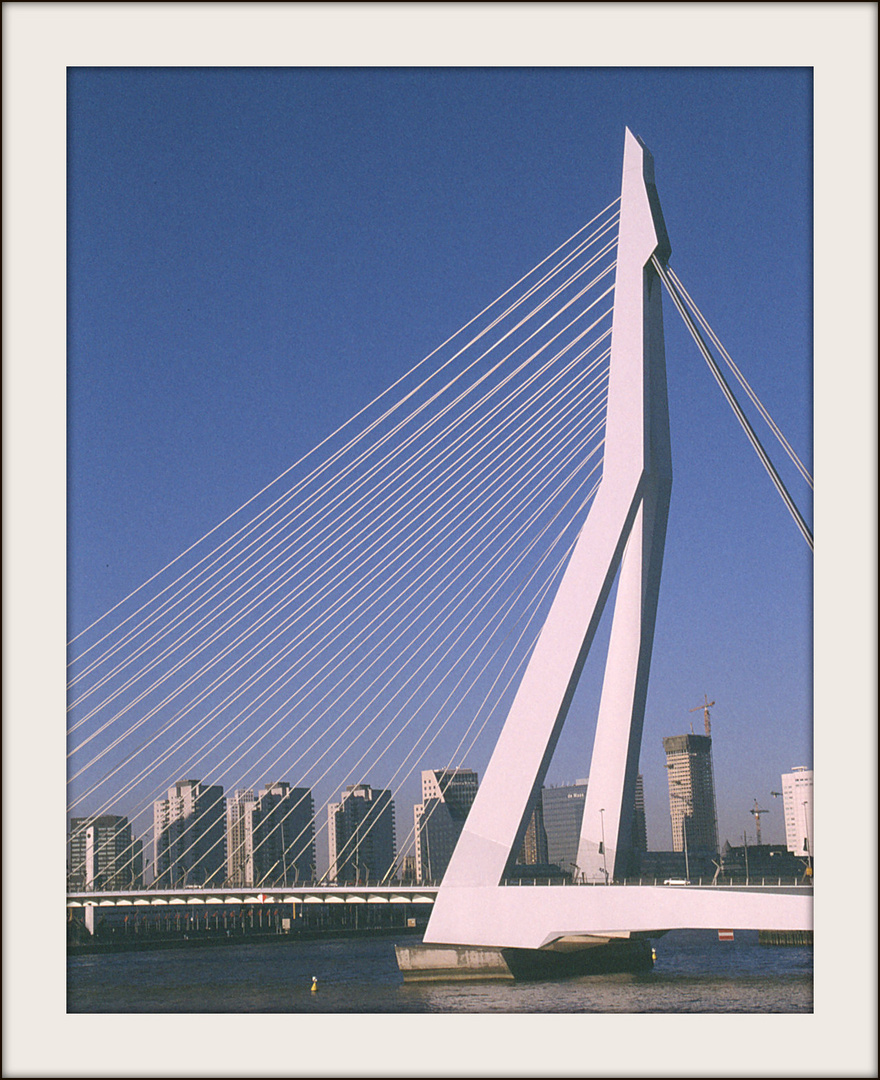 Rotterdam -- Erasmusbrug