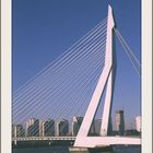 Rotterdam -- Erasmusbrug