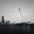 Rotterdam Erasmusbrug II