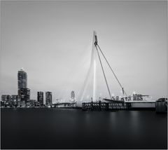 Rotterdam Erasmusbrug II