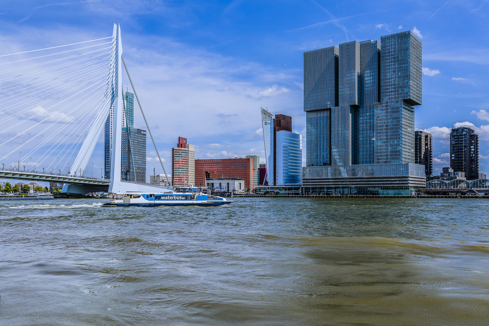 Rotterdam Erasmusbruk, Wasserbus, De Rotterdam Turm