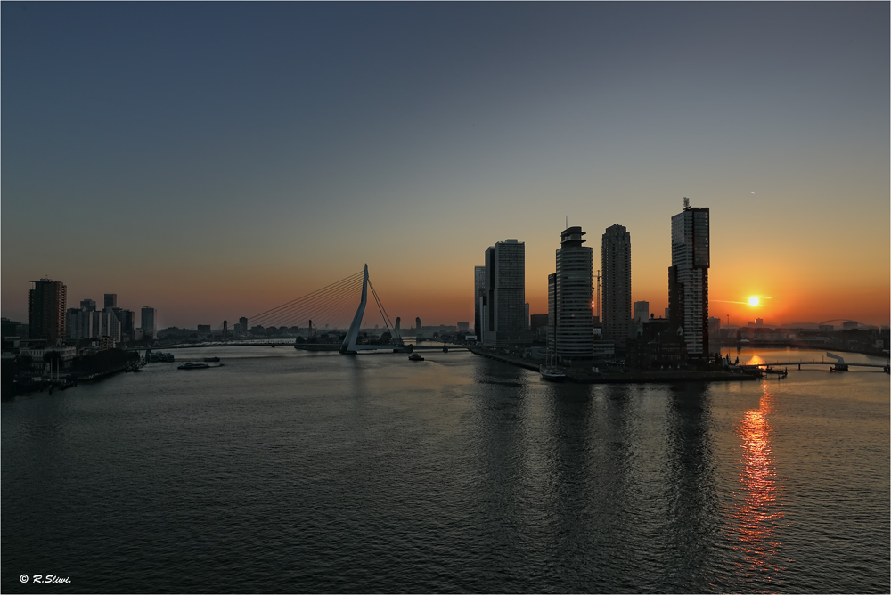 Rotterdam erwacht