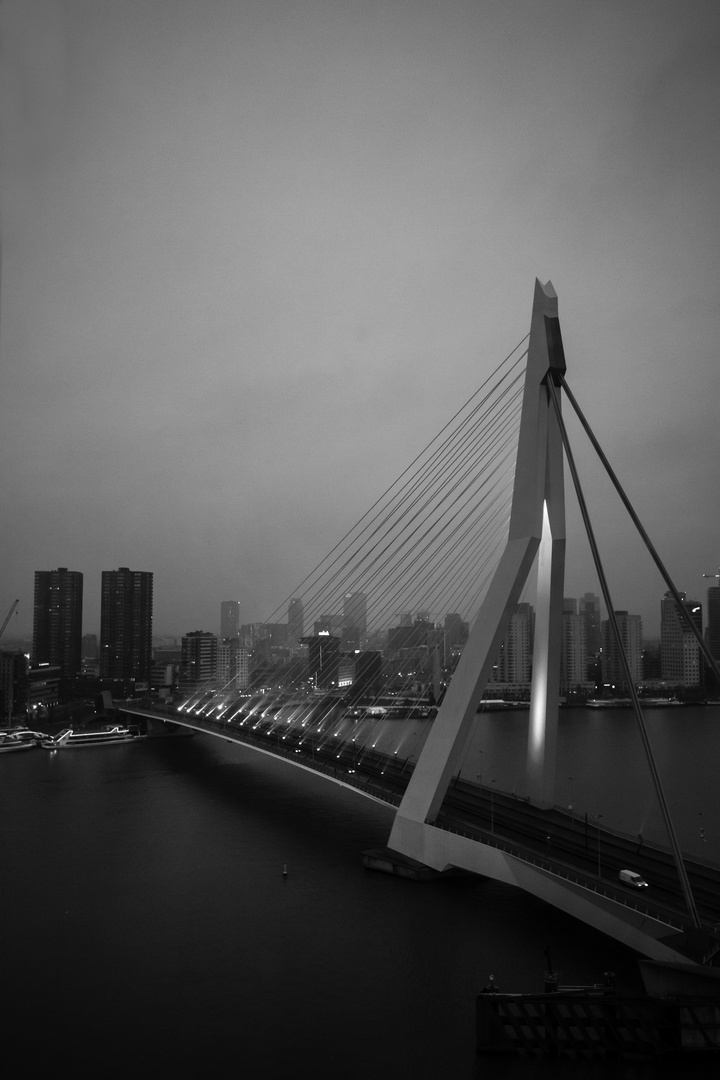 Rotterdam