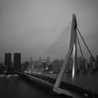 Rotterdam