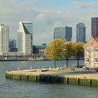 Rotterdam