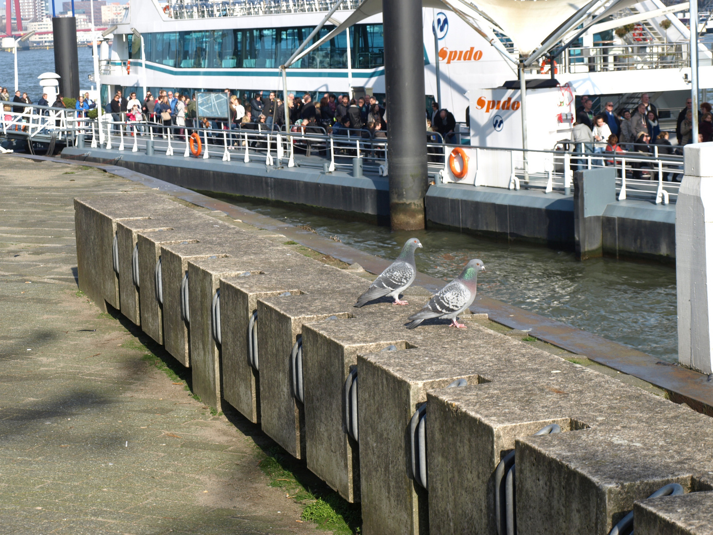 Rotterdam-Hafen-1-