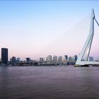 Rotterdam I