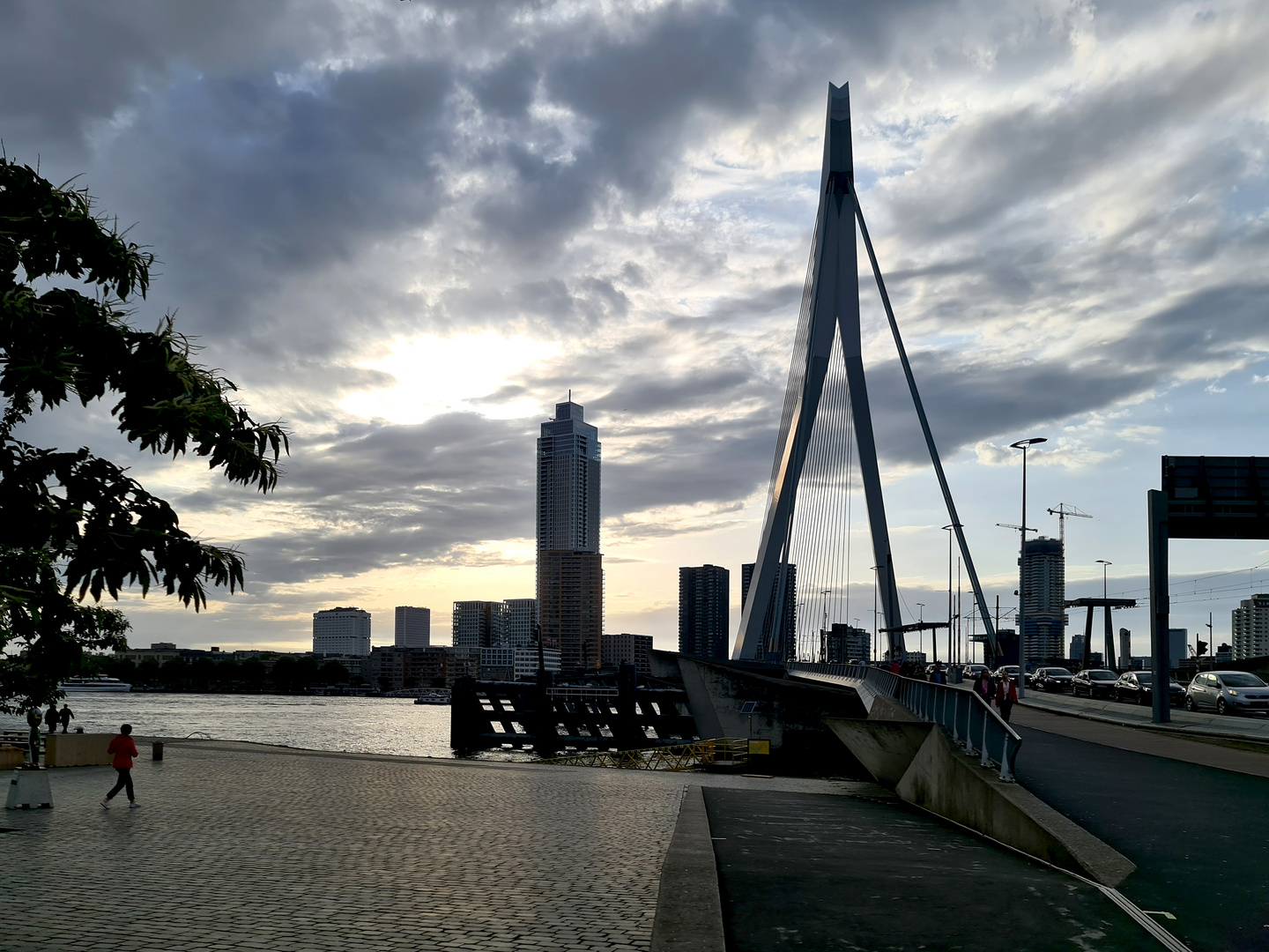 Rotterdam im Gegenlicht