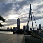 Rotterdam im Gegenlicht